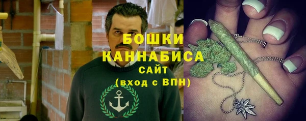 гидра Алексеевка